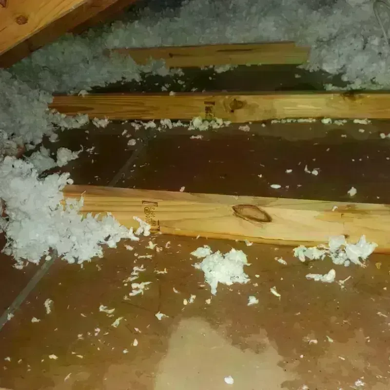 Attic Water Damage in Fairfield, CT